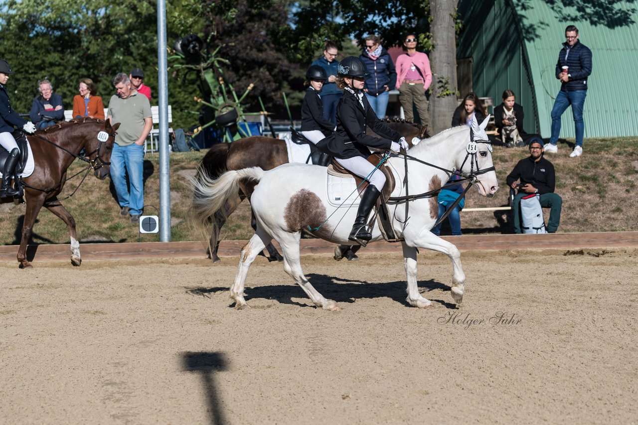 Bild 95 - Pony Akademie Turnier